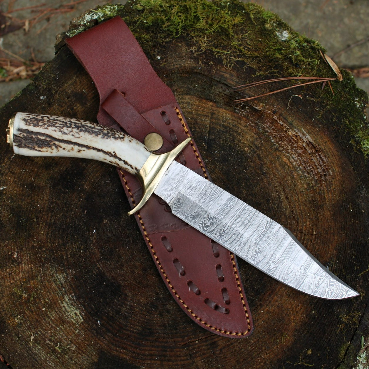 Stag Handle Bowie