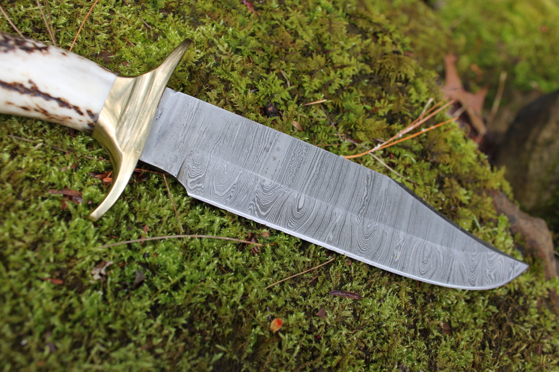 Stag Handle Bowie