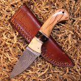 Olivewood Handle Damascus Skinner