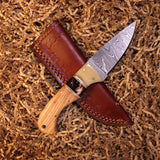 Olivewood Handle Damascus Skinner