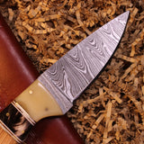 Olivewood Handle Damascus Skinner