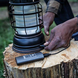 Bronze Forest Lantern