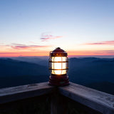 Bronze Forest Lantern